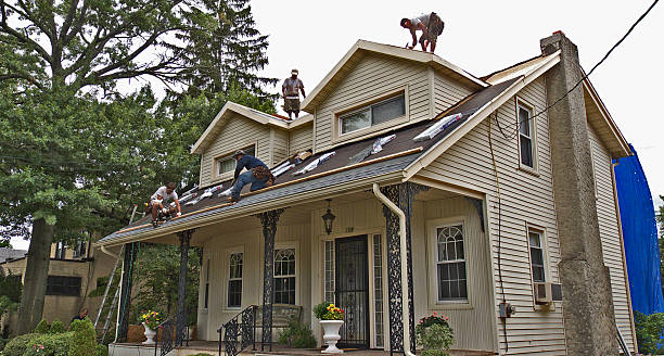 Best Roof Gutter Cleaning  in Mccoll, SC